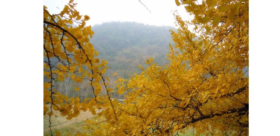 江浙长兴位于浙江省北部,这个江南小城适合养老