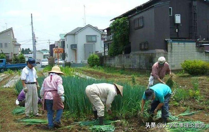 越南美女为什么人多嫁中国男子 (越南美女多的原因)