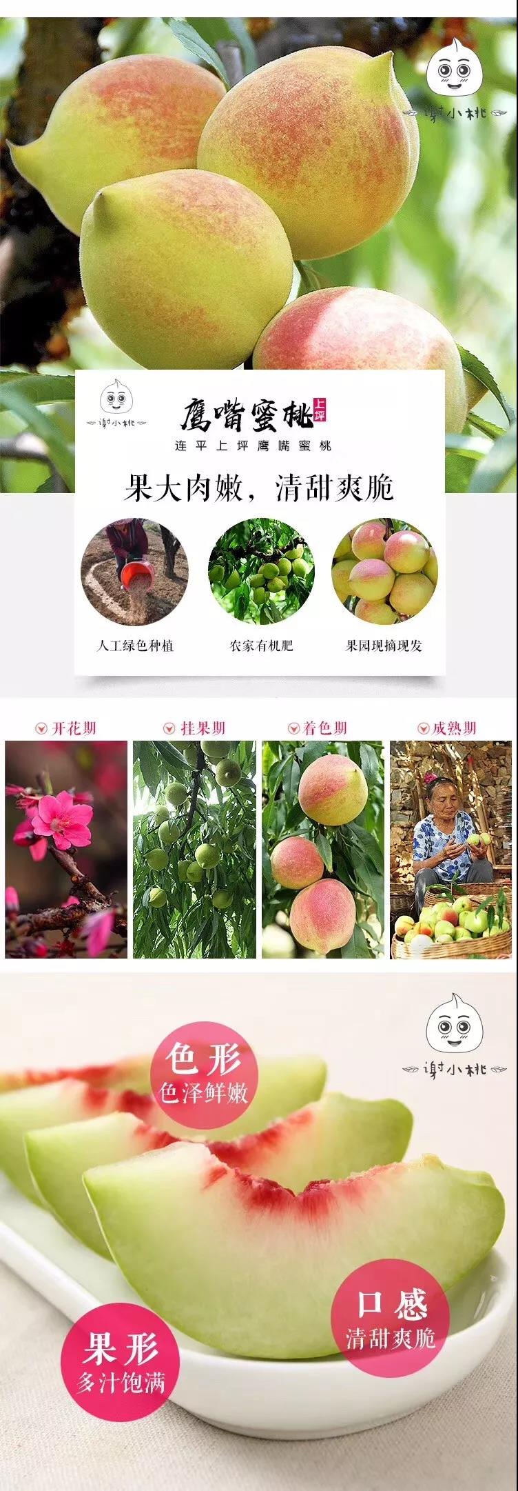 舌尖美味为家乡特产做代言,家乡特色小吃代言人