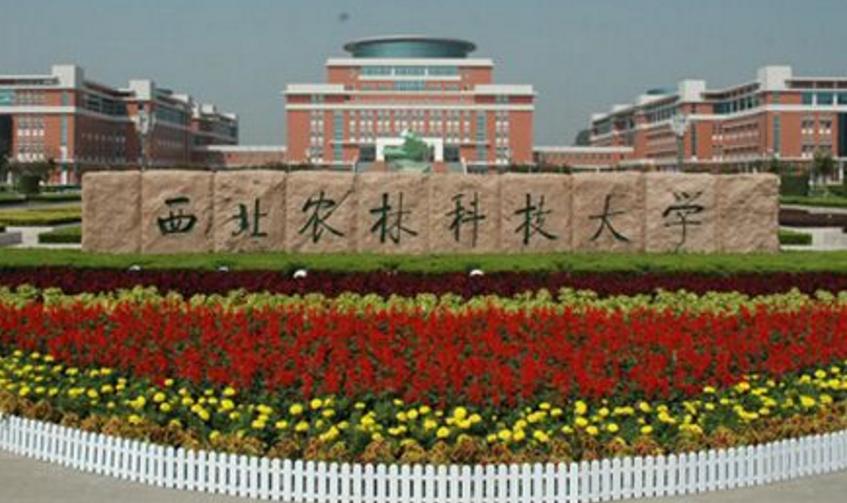 农业大学毕业不是当农民，国内这四所农业高校，就业前景非常不错