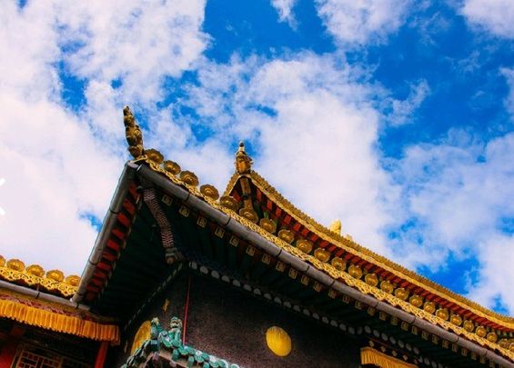 八月下旬去青海合适吗,8月去青海适合吗