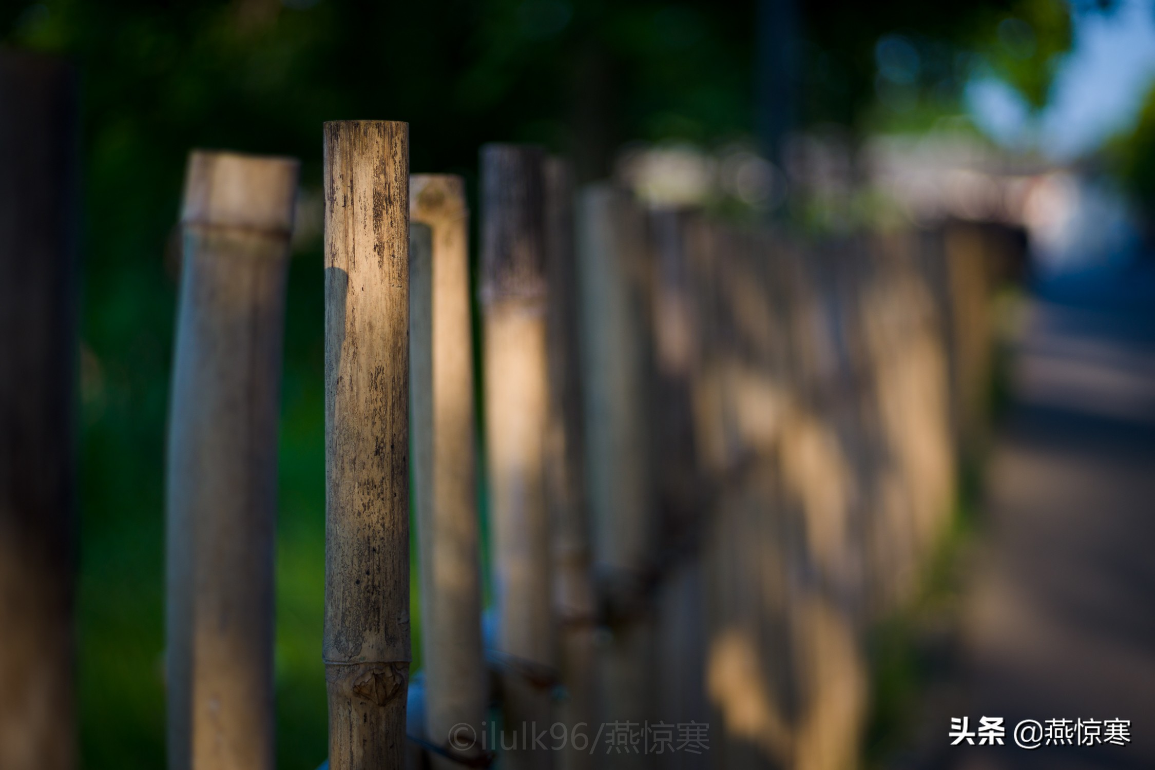 盘点一下我这些年用过的相机,回顾我用过的数码相机