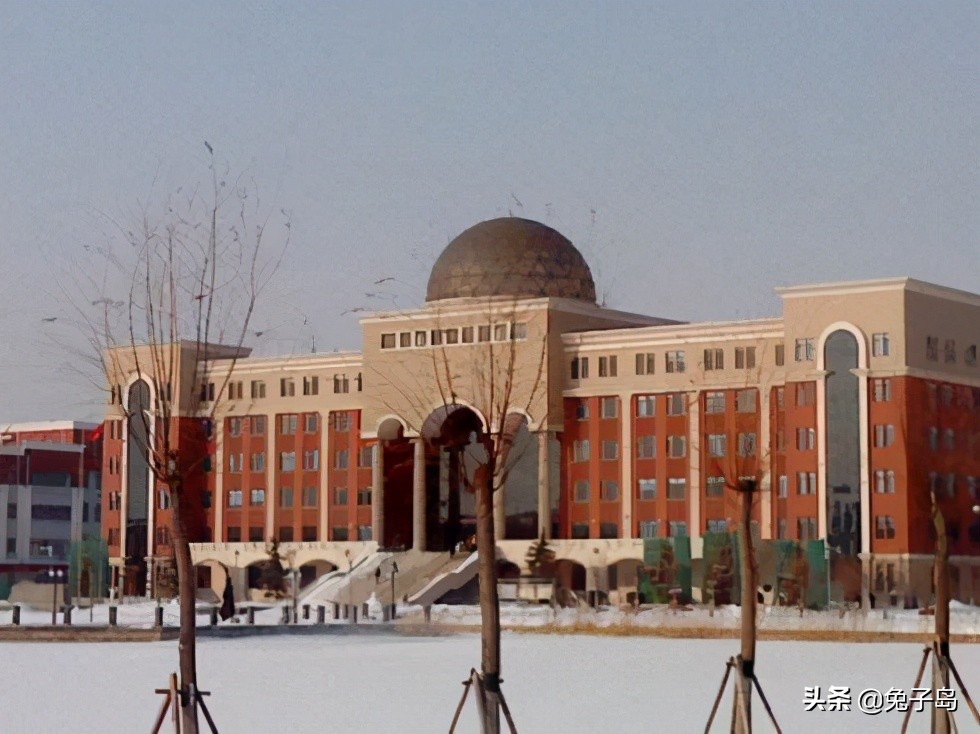 天津仁爱学院在全国的排名,天津仁爱学院在全国排名