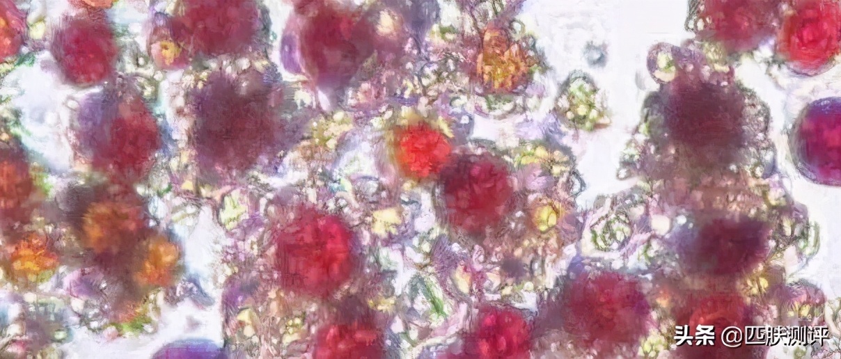 抗衰美白精华各品牌测评,防衰精华质量