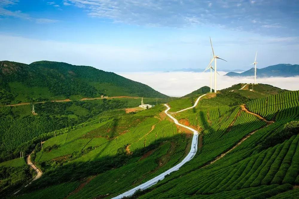 宁波北仑哪里有些免费的游玩景点,宁波北仑景点排名前十名