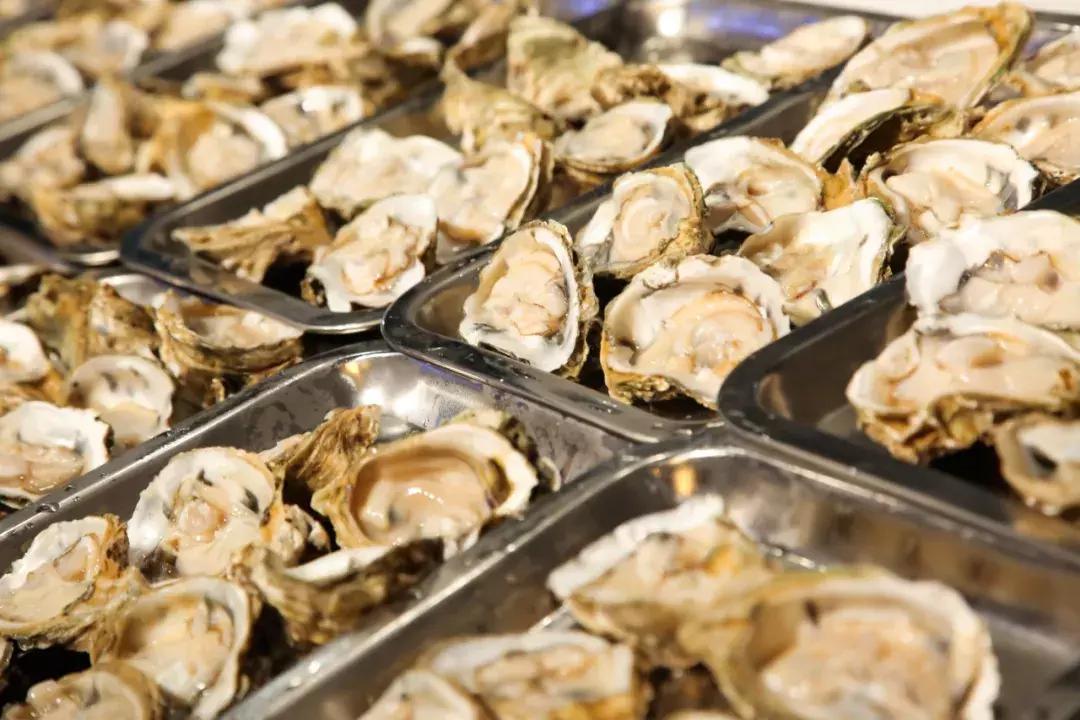 大光明自助生蚝,最真实的生蚝自助