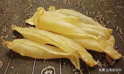 鱼胶性价比超高的4款鱼胶,什么鱼胶经济实惠好用