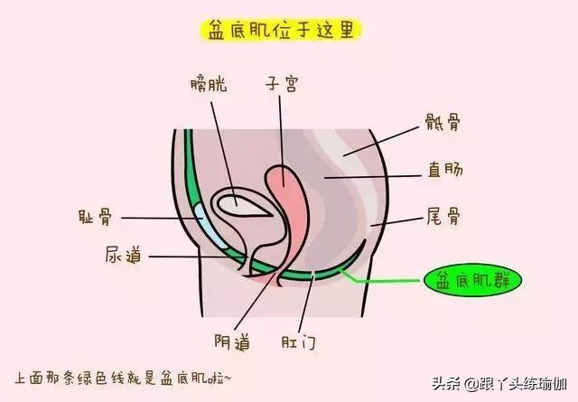 如何做好盆腔的产后修复？市场套路太深，别被坑骗啦