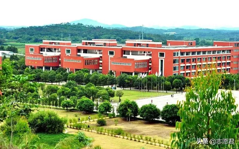 广州商学院和广东商学院区别,广东商学院与广州商学院有何不同