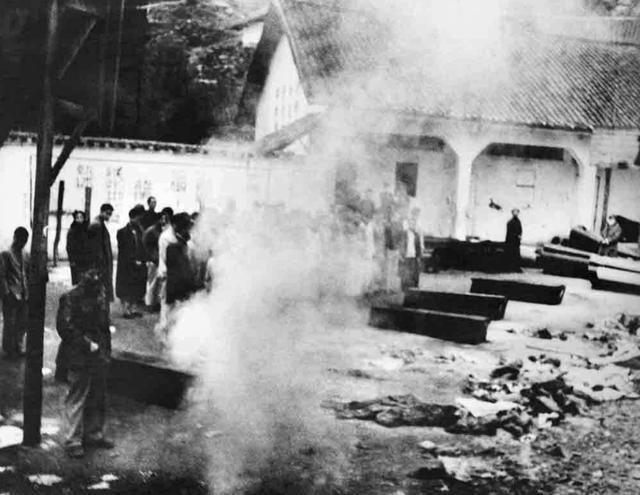 渣滓洞囚犯被枪决,渣滓洞关押人员为什么被处决