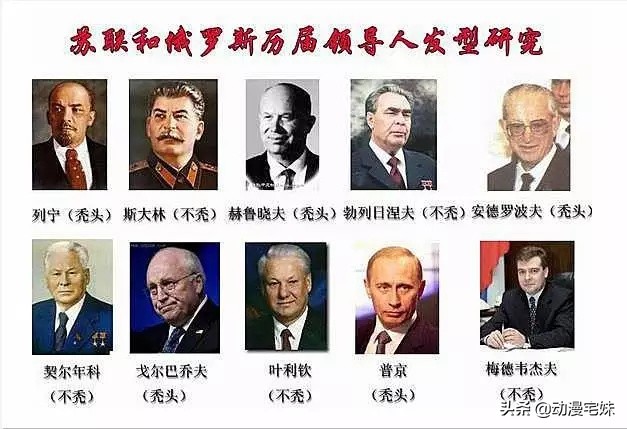 秃顶率最高的十大专业,秃顶率最高的学科是什么