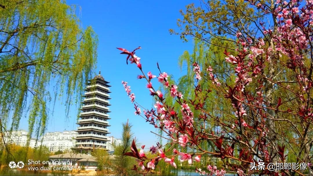 临漳七子湖的传说,临漳七子湖以前是什么样子的