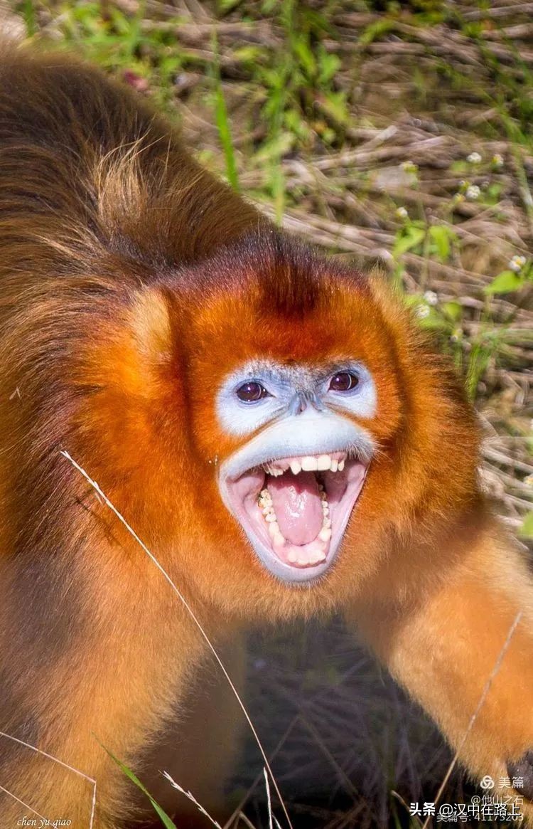 汉中户外遛娃好去处排行榜,汉中遛娃旅游景点有哪些