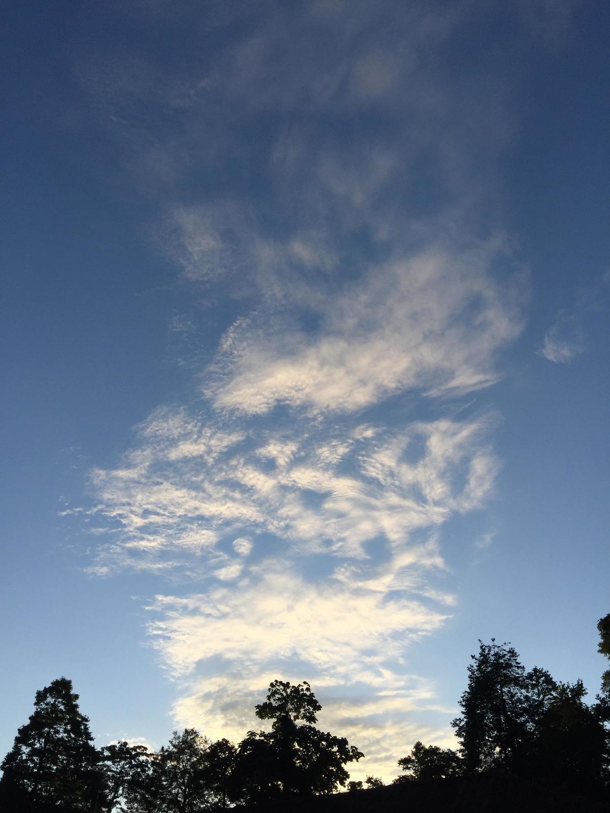 峨眉山登顶佛像,峨眉山登顶记完整版