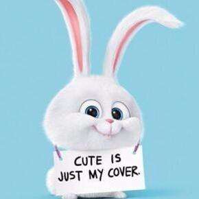 英语教师课堂教学用的口语,幼儿老师英语课堂常用语