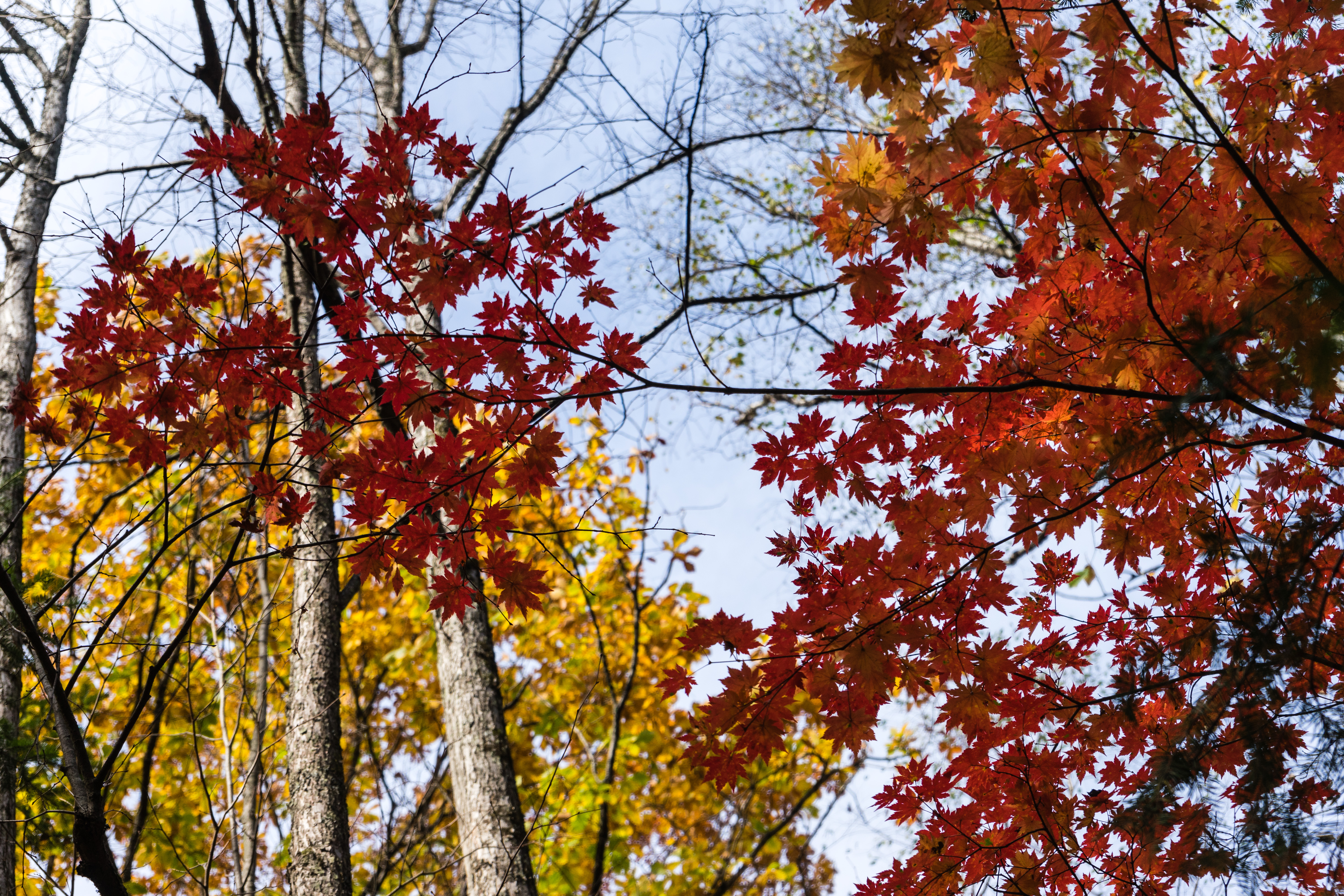 中朝边境自驾游视频,331国道自驾中朝攻略