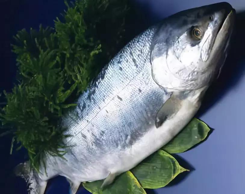 防城港怎么吃海鲜便宜不被坑,防城港干货海鲜有哪些