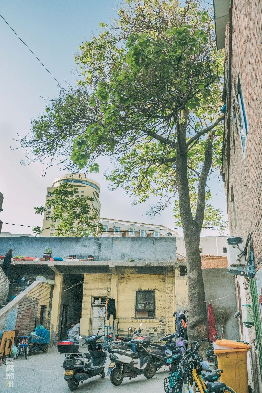 郑州弓背街与上元街,郑州弓背街