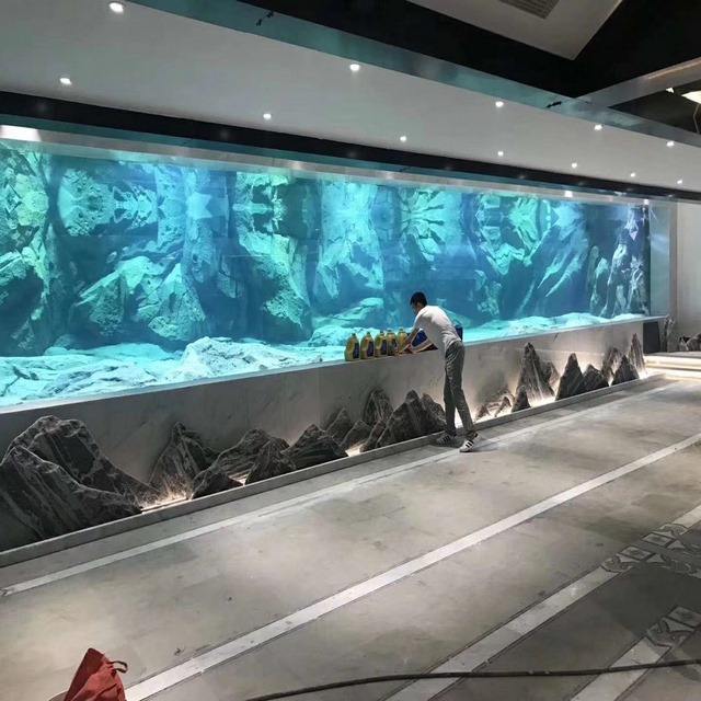 观赏鱼常见疾病图谱,观赏鱼得病的样子