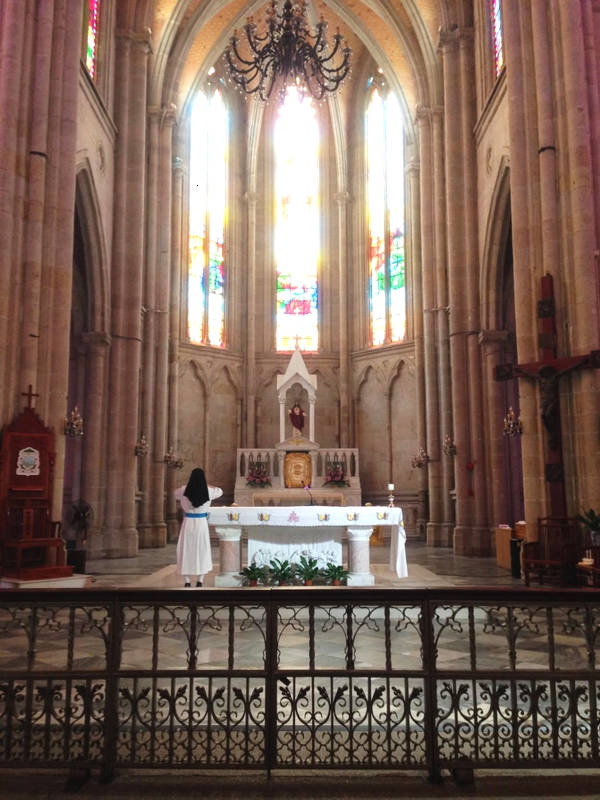 新教天主教最大的区别,新教和天主教有何区别