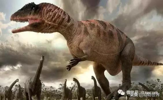 地球上的顶级掠食者,人类是地球上最顶级的掠食者