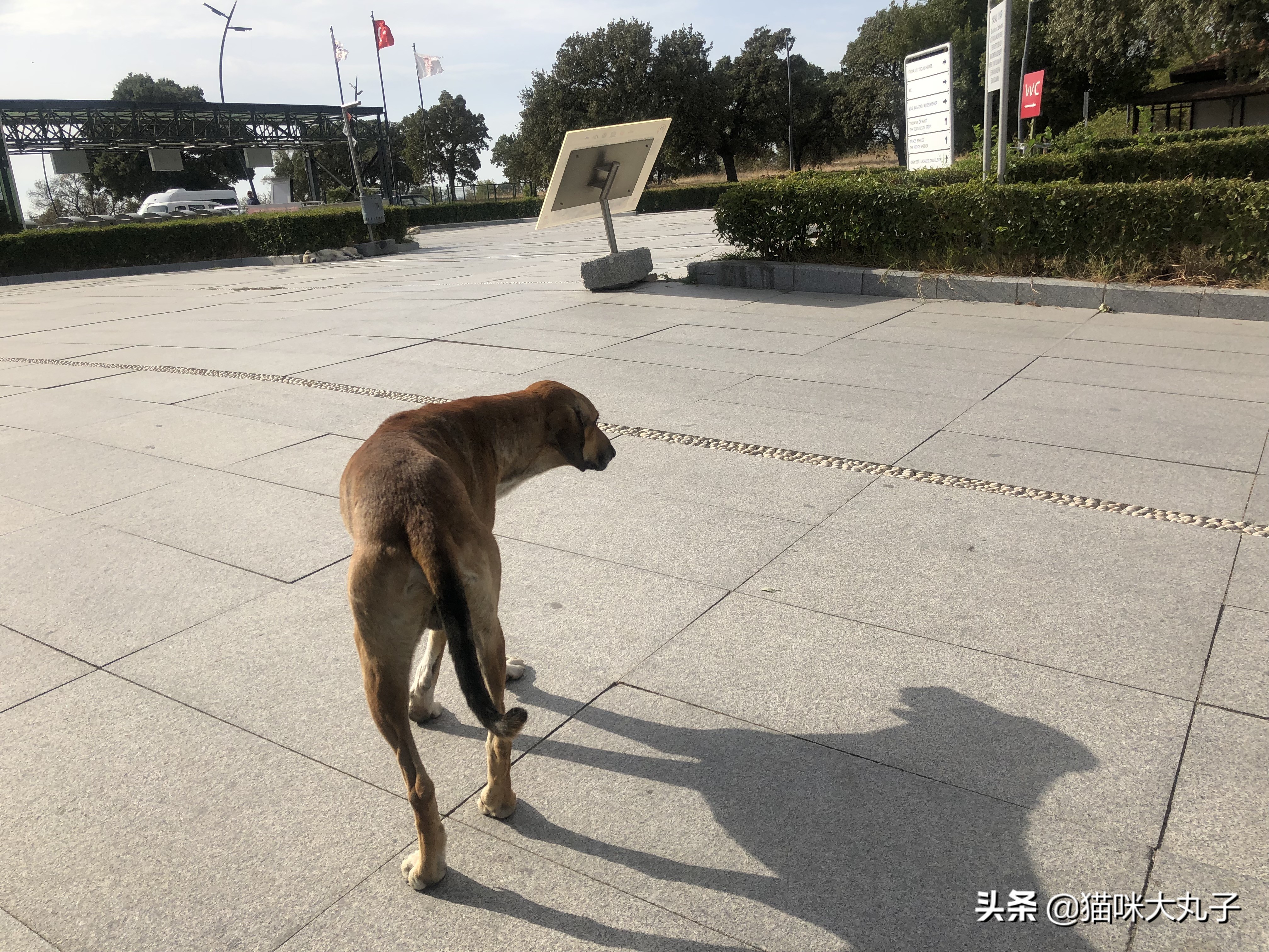 浪漫的土耳其热气球飞行之旅,热气球不仅仅在浪漫的土耳其