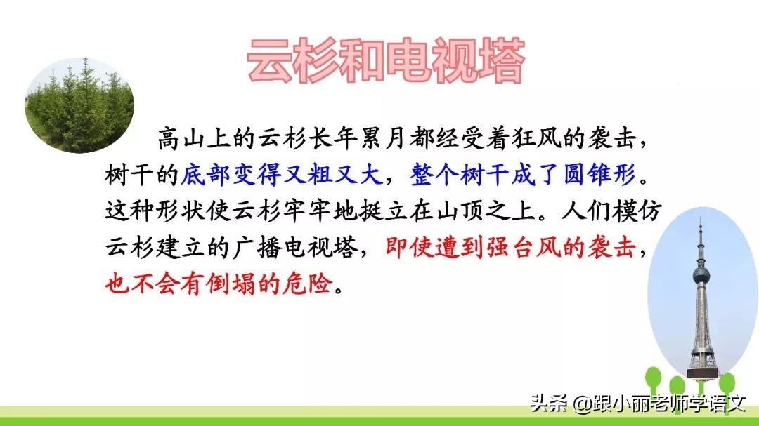 语文思维导图四年级上蝙蝠和雷达,人教版四年级上册蝙蝠和雷达朗读