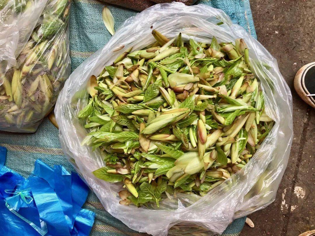 云南带毒的美食,云南带菌的美食