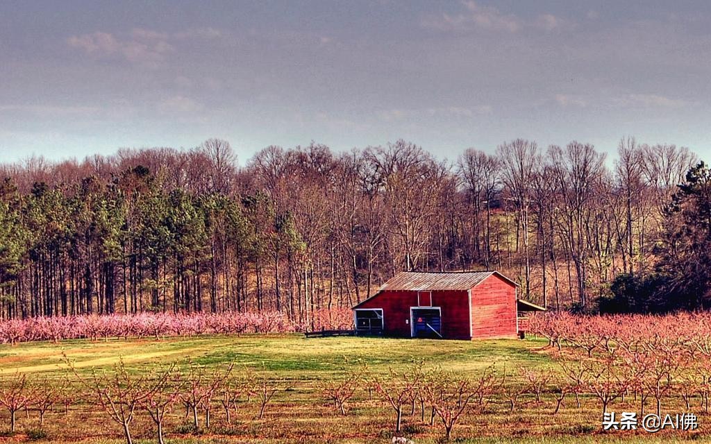 美国农田最多的州,美国哪个州的农场土地肥沃