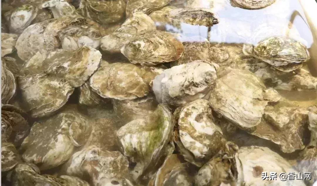 珠海有哪些海鲜街,珠海南屏海鲜街