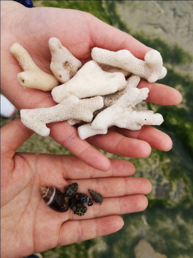 热带雨林中的蓬莱,热带岛屿游玩攻略