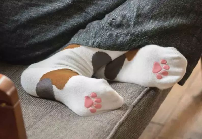 360度“云吸猫”？日本这家猫咪商店简直爱了