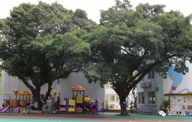 深圳幼儿园收费排行榜,深圳公立幼儿园和私立幼儿园收费