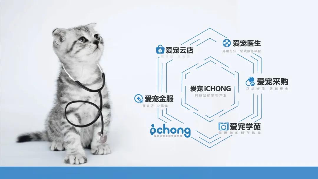 隐藏在爆火背后,是16年专研宠物营养的匠心精神|大咖对话