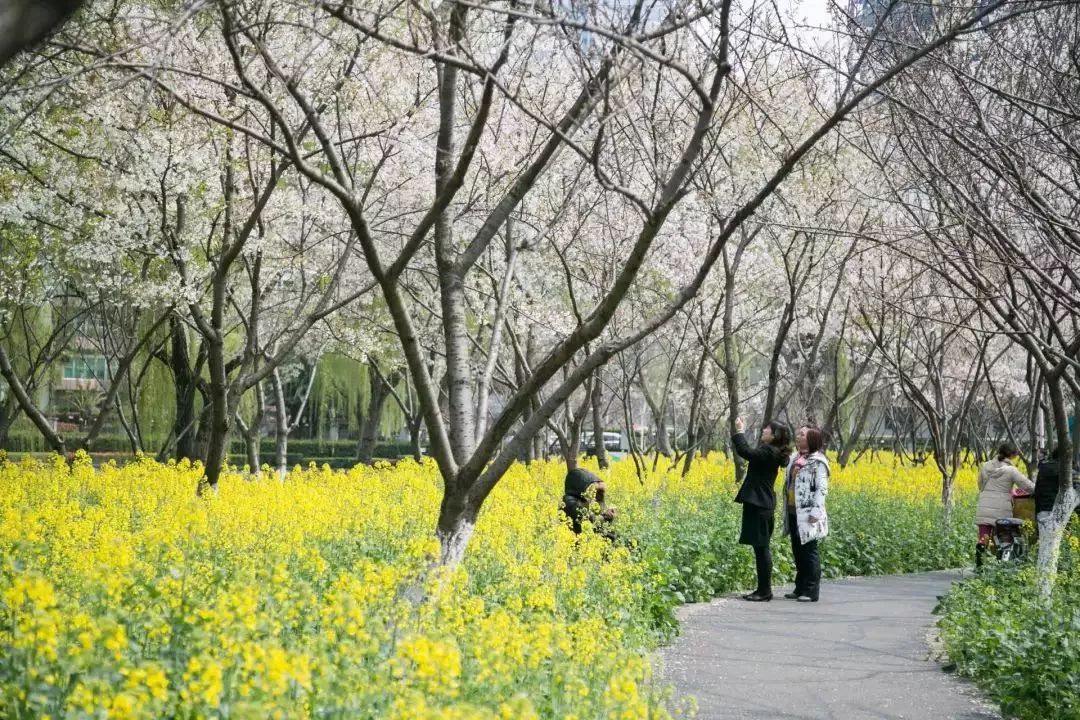 武汉21个免费景点,武汉43个免费景点出炉