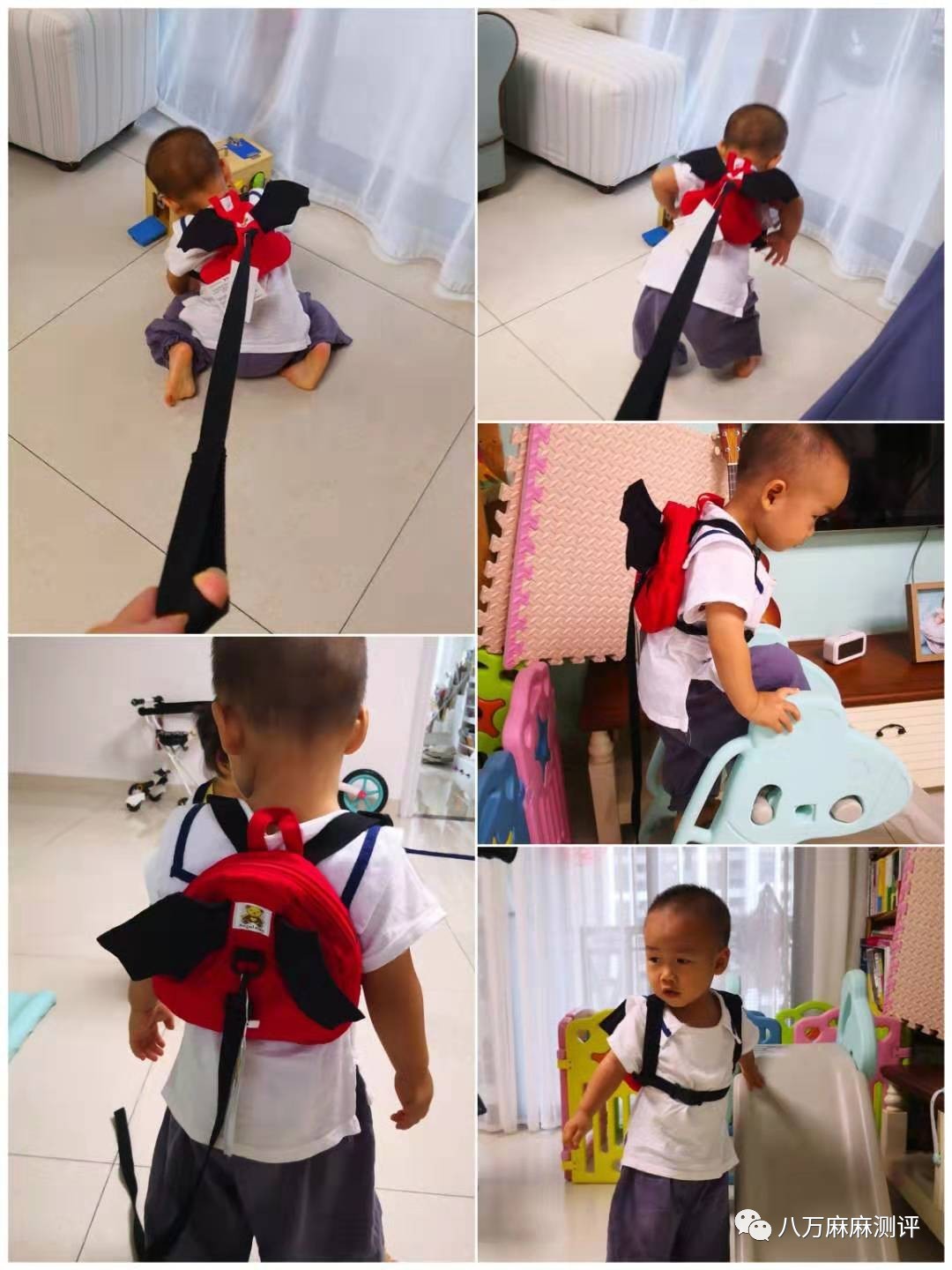 小书包测评专题|这里是防走失包的大草原（上）