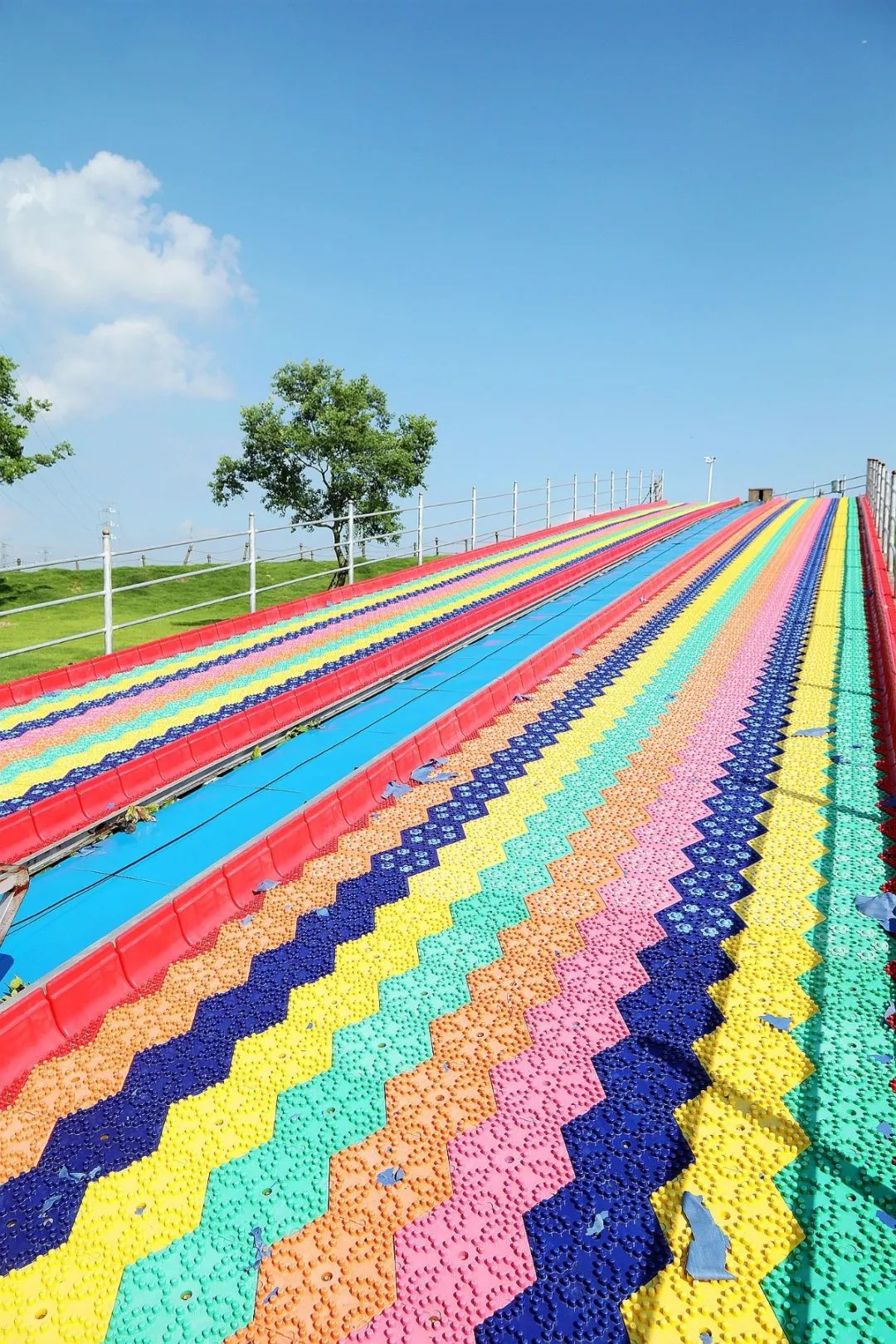 森氧之地,秋游必选!金湖万亩水上森林,真的别有趣味
