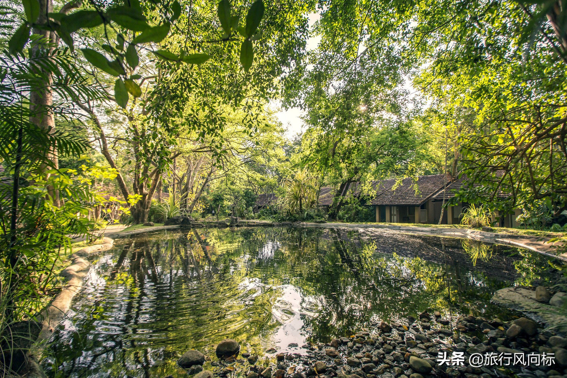 去斯里兰卡必做的事情,去斯里兰卡旅游攻略