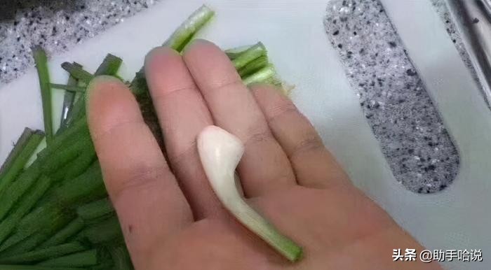 为什么老虎和狮子的争论那么大,为什么他们总说老虎打不过狮子