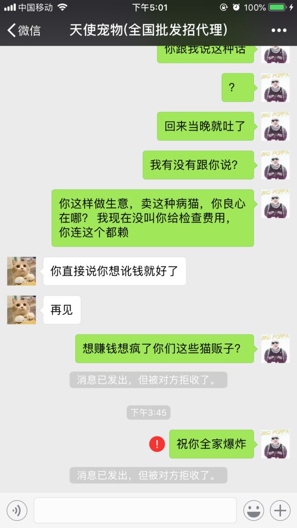 猫三联能在网上买吗,网上买猫怎么寄送的