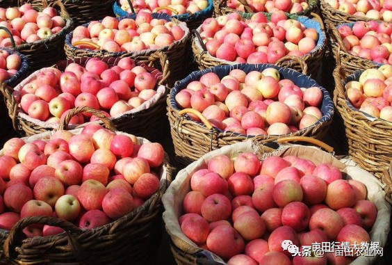 全国今日蔬菜菜价,全国菜价最新消息