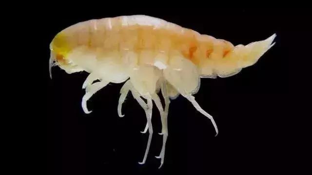 救救她韩语,救救她