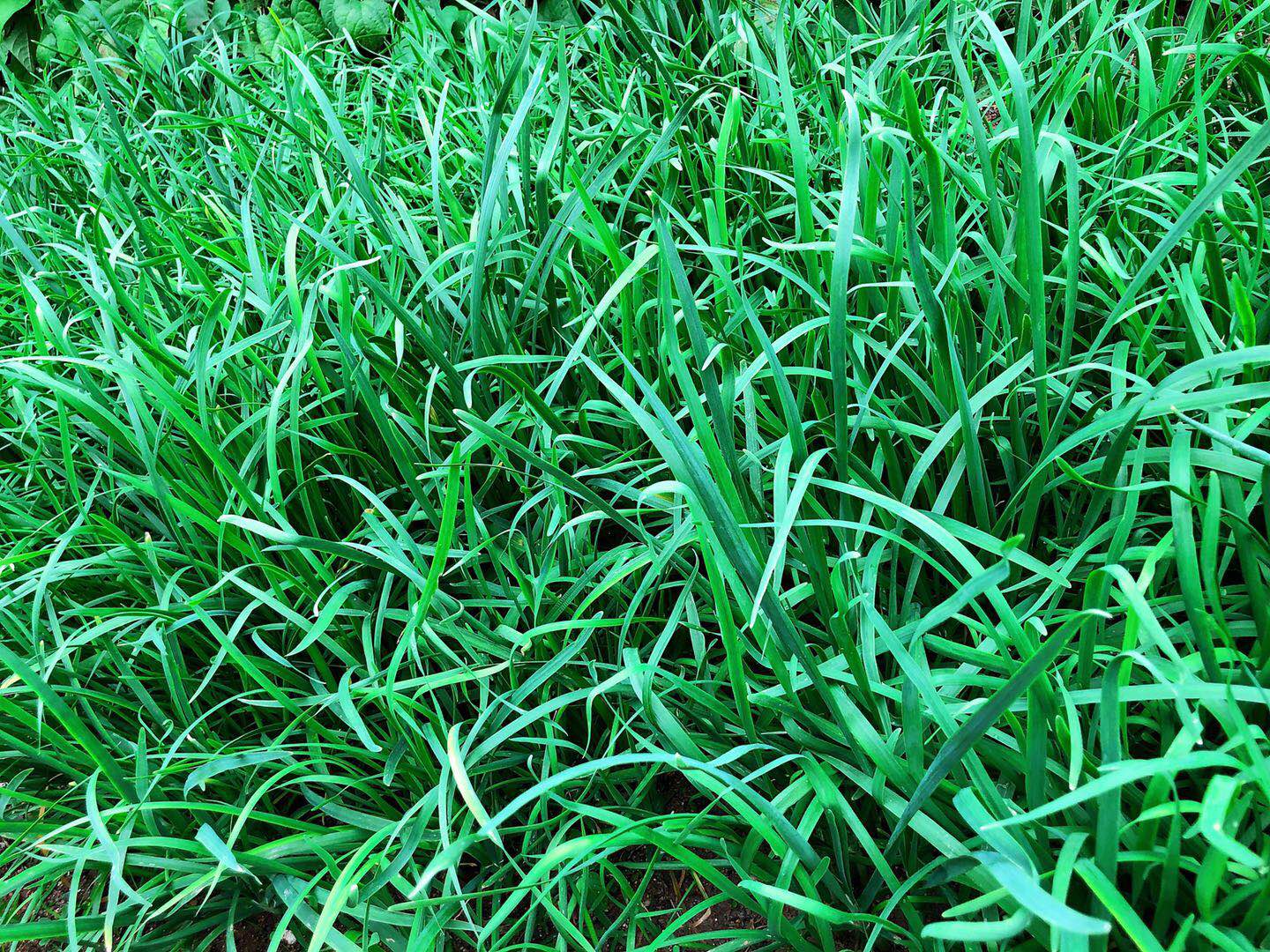 期货交易的最佳时机,期货日内交易入场时机