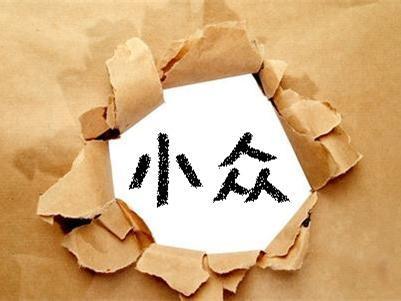 小众的生意,小众项目生意怎么做好