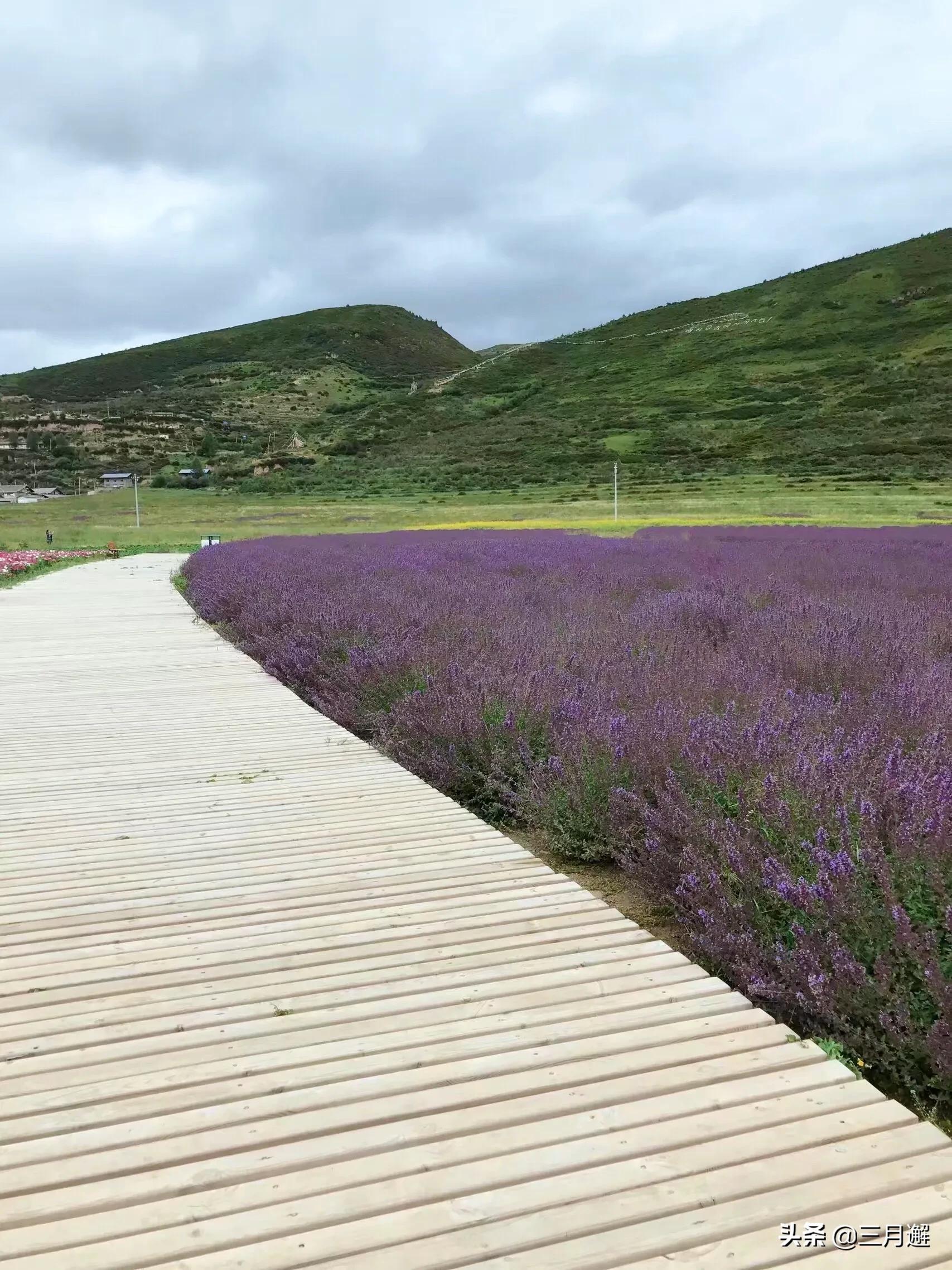 美丽松潘历史文化,美丽松潘简谱