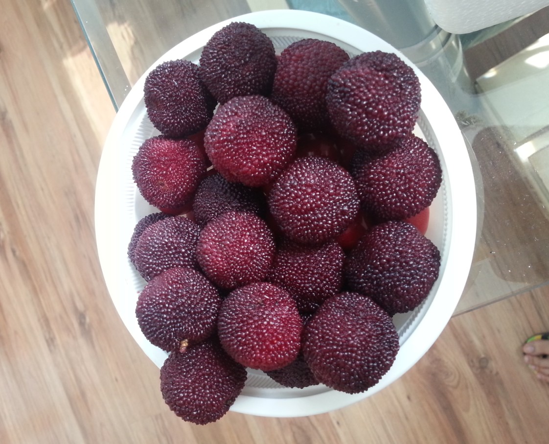 洗杨梅可以用盐洗吗,洗杨梅里头放什么东西洗好