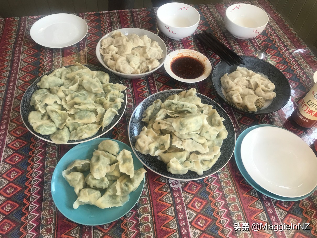 新西兰工签最新流程,生活日记新西兰