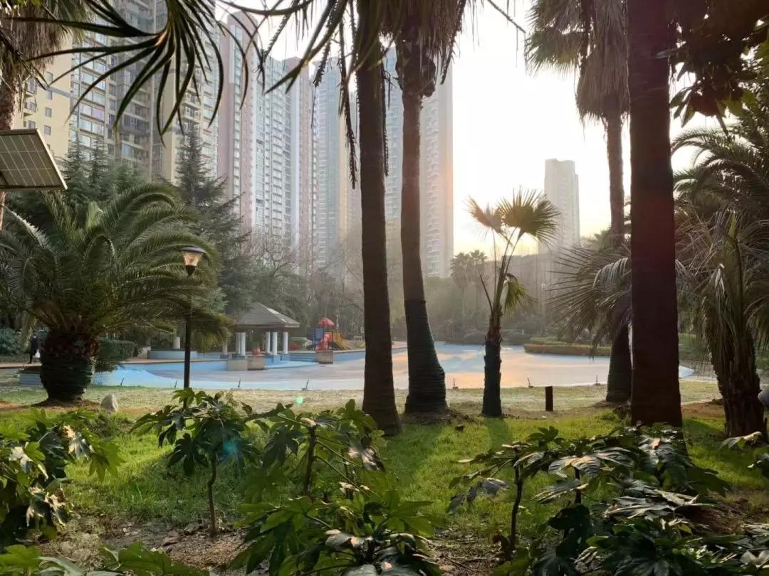 江汉万科汉口传奇,万科汉口传奇最新消息