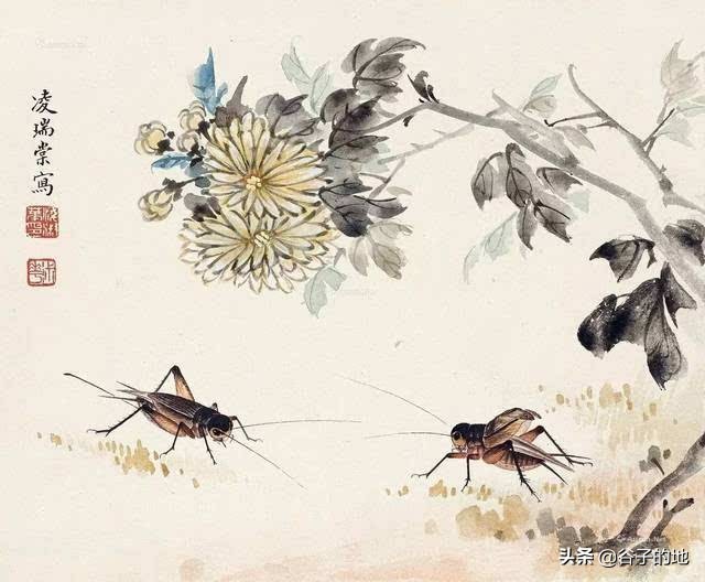 徐志摩和凌叔华的故事,凌叔华与徐志摩的关系