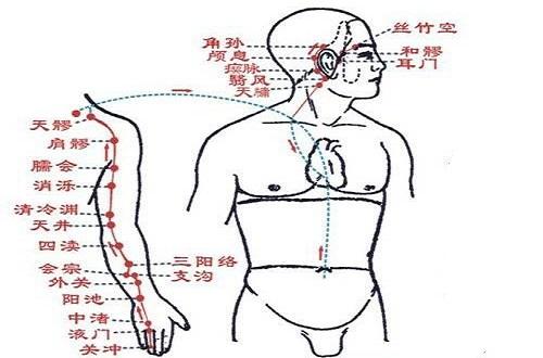 解读十四条经络走向和常用穴位,十四经络正确走向图